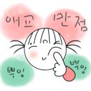 진심 교육협동조합 이미지