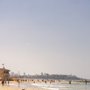 다윗의별 | 이스라엘 여행 텔 아비브 맛집 추천, 고기가 맛있는 Porter & Sons 후기