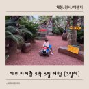 스테이서하온 | 제주 아이랑 서쪽여행 3일차 [평화식당 어린왕자감귤밭 스테이서하온 바다를본돼지 술술]