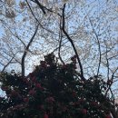 (주)동명관광 이미지