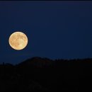 용이와의 이별 이미지