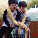 함평양서파충류생태공원 이미지