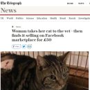 홈종합동물병원 이미지