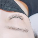 로덱스 이미지