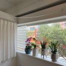 아미고미용실 이미지