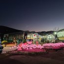 빛(꽃)의정원 이미지