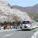 멍그루 이미지