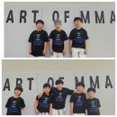ART OF MMA 이미지