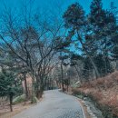 연경산약수터 | 인천 야경명소 문학산 등린이 등산코스로 추천