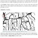 오도치