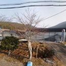 산.들.꿈농원