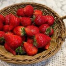 딸기네샵 이미지