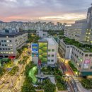 분당-175 이미지