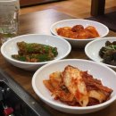 콩사랑왕국