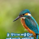 금상첨화 이미지