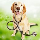 생생동물병원 이미지