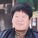 완도멸치
