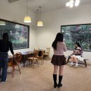 동백언덕 | 제주도 가볼만한 곳, 동백포레스트 후기 (내돈내산)