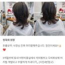44 | 카리나 중단발,세미허쉬컷 C컬펌 요즘 유행하는이유/대전 동구 미용실