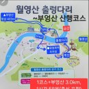 제73차 금산 월영산(출렁다리) 정기산행 24/11/03 이미지