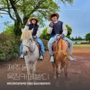 애정목장 | 제주 동쪽 목장카페 밭디 내돈내산 승마 체험 데이트 후기
