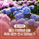 사계바다소리 오케스트라 제10회 정기연주회 | [공지] 주말에 뭐 하지? 2026년 6월 울산 축제·공연·전시 일정 모아보기