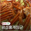 광성 | 속초여행맛집 속초 청초호 근처 홍게 무한리필 대게 게딱지밥 광성홍게장군 솔직후기