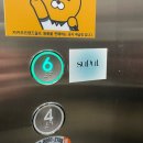 수풀스튜디오 이미지