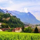 (주)지혜로운세상 이미지