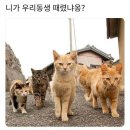 월드스포츠 이미지