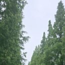 오일캠프 이미지