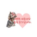 두꺼비네 이미지