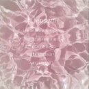 도담챌린지 이미지