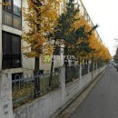 원종로9번길 이미지