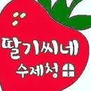 딸기씨네 수제청