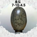 250034 이미지