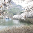 진안마이산(익산) 이미지