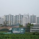 신세계부동산공인중개사사무소 이미지