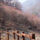 계명산자연휴양림 야영장 이미지