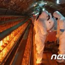 김동규농장 이미지