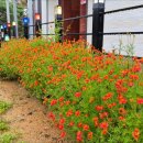 칠연계곡펜션 이미지