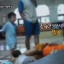 금치농장 이미지