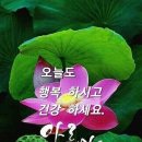 ◎정조와 정약용◎ 이미지