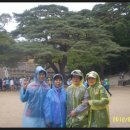 불국사박물관 이미지