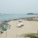 대대리 민박 이미지