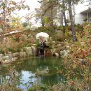 팔렬중학교 이미지