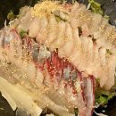 건대입구역 건대광어두마리 물회 가성비 노포 횟집 추천 인스타 맛집 방문 후기