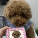 메리앤래리 이미지