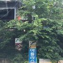 아틀라스펜션 이미지
