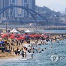 신성해수욕장 연합뉴스